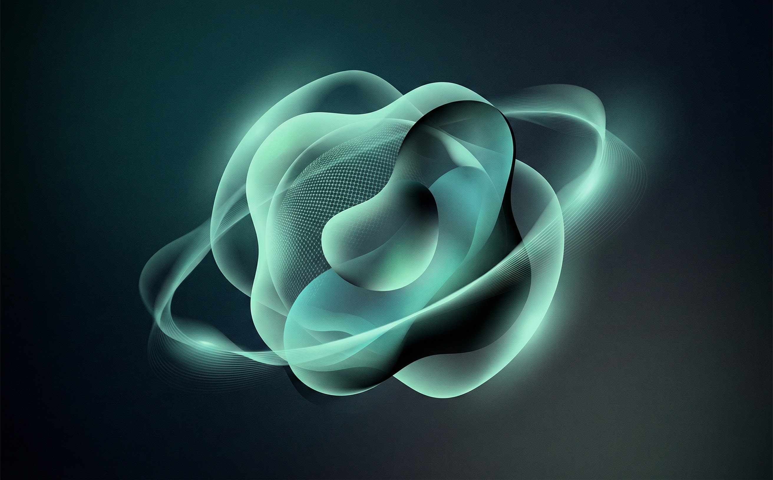 Acapulco Screen Printing